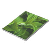 偽のヘラボーに降りかかる ノートパッド (回転)