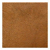 偽の革の外観 ポスター (正面)