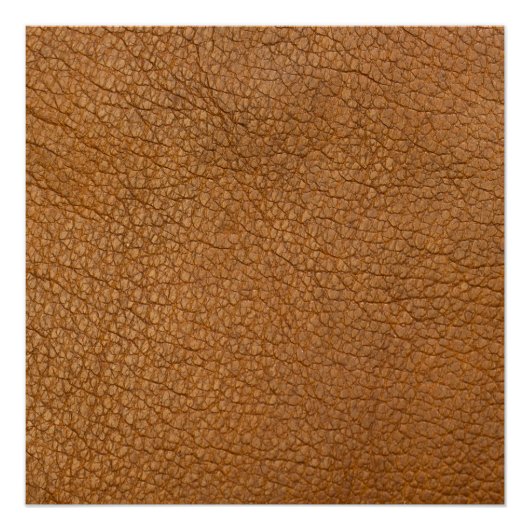 偽の革の外観 ポスター (正面)