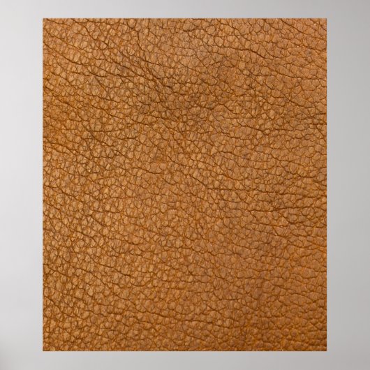偽の革の外観 ポスター (正面)
