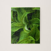 偽のHelaboreの結露 ジグソーパズル (縦)