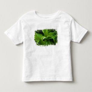 偽のHelaboreの結露 トドラーTシャツ