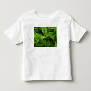 偽のHelaboreの結露 トドラーTシャツ