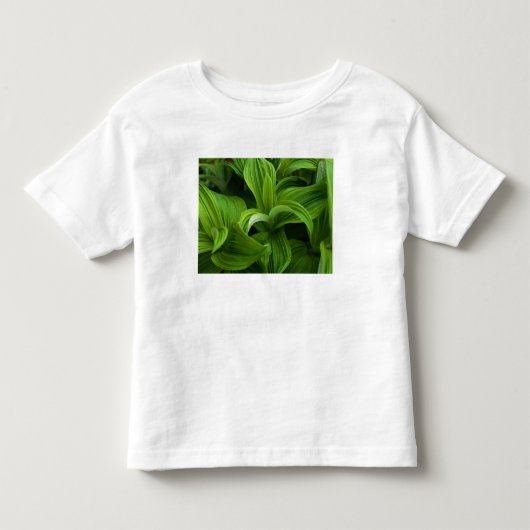 偽のHelaboreの結露 トドラーTシャツ (正面)
