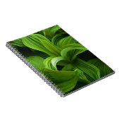 偽のHelaboreの結露 ノートブック (右側)