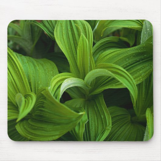 偽のHelaboreの結露 マウスパッド (正面)