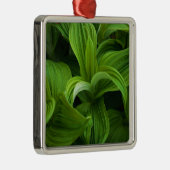 偽のHelaboreの結露 メタルオーナメント (右)