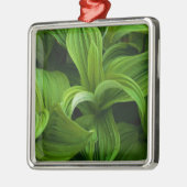 偽のHelaboreの結露 メタルオーナメント (左)