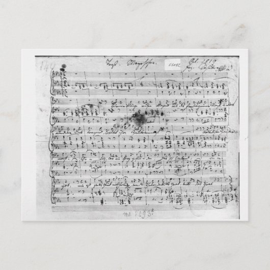 偽の'Trost'のオートグラフスコア ポストカード (正面)