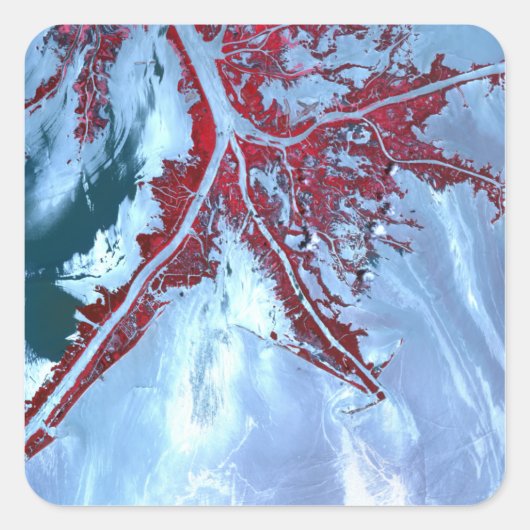 偽カラー衛星 スクエアシール (正面)