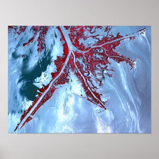 偽カラー衛星 ポスター (正面)