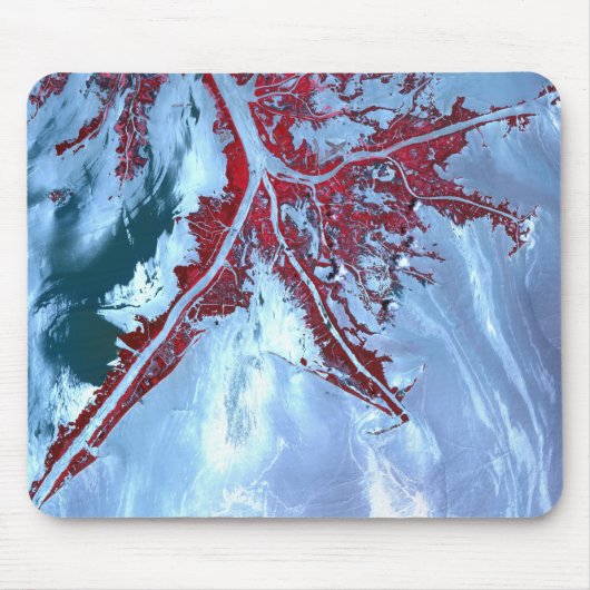 偽カラー衛星 マウスパッド (正面)