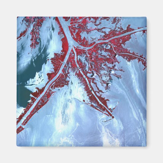 偽カラー衛星 マグネット (正面)