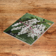 偽ソロモンのシール花フローラ陶磁器タイル