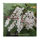 偽ソロモンのシール花フローラ陶磁器タイル タイル (正面)