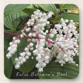 偽ソロモンの花フローラ コースター (正面)
