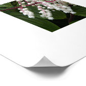 偽ソロモンの花フローラ ポスター (角)