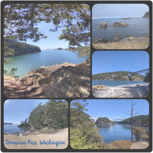 偽パスビニールのシールのコラージュ シール (正面)