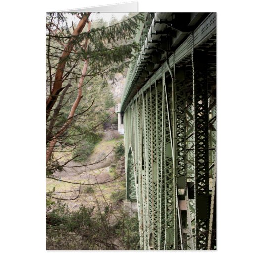 偽パスブリッジ (正面)