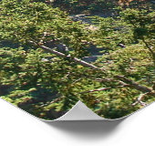 偽パスブリッジ ポスター (角)