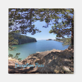 偽パスマグネット マグネット