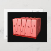 偽層柱上皮 ポストカード (正面/裏面)