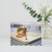 偽歯の走遠くにドングリの小妖精や小人 ポストカード (スタンド正面)