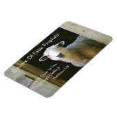 偽預言者に用心する マグネット (左側)