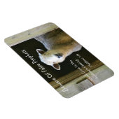 偽預言者に用心する マグネット (右側)