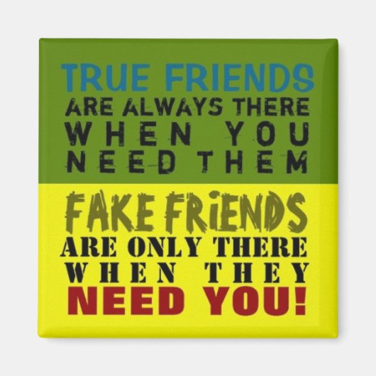 偽vs真実～磁石の真実 マグネット (正面)