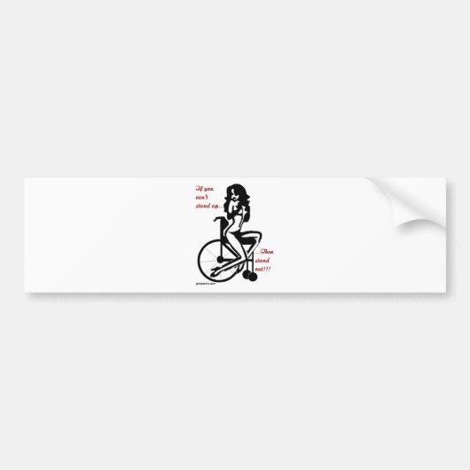 傑出 バンパーステッカー (正面)