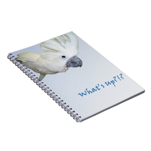 傘のオウムのある何が頼むこと ノートブック (右側)