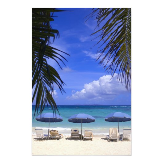 傘はビーチの聖マーテンカリブの、 フォトプリント            (正面)