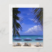 傘はビーチの聖マーテンカリブの、 ポストカード (正面/裏面)