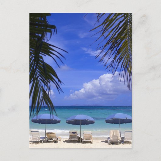 傘はビーチの聖マーテンカリブの、 ポストカード (正面)