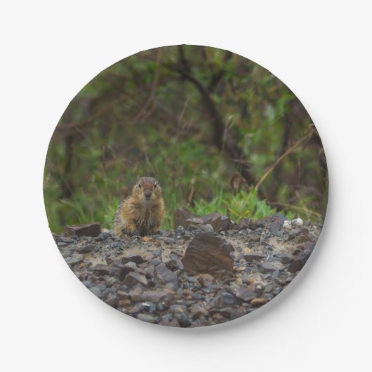 傘をお願い ペーパープレート (正面)