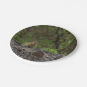 傘をお願い ペーパープレート (アングル)