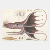 傘イカ、ヴィンテージ海洋生物動物 ラッピングペーパーシート (正面)