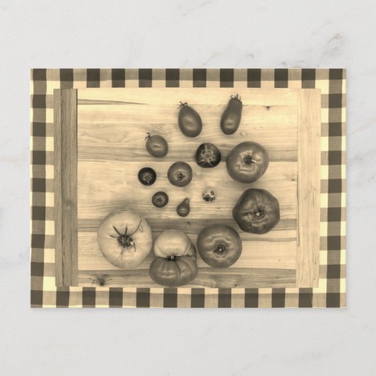 催眠ヘイルムトマト –  ポストカード (正面)