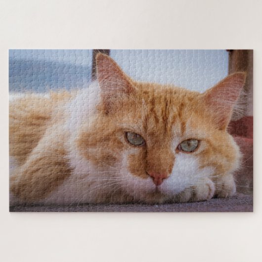 催眠猫パズル ジグソーパズル (横)