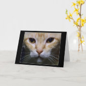 "催眠薬" カード (黄色い花)