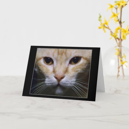 "催眠薬" カード (黄色い花)