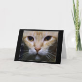 "催眠薬" カード (正面)