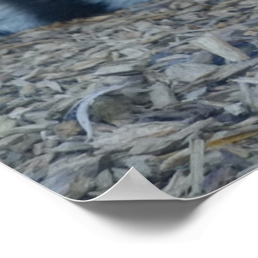 催眠虎 ポスター (角)