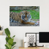 催眠虎 ポスター (ホームオフィス)