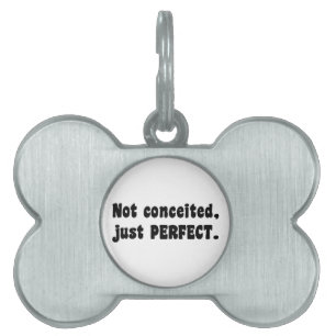 傲慢ではなく、ただ完璧なだけ ペットネームタグ