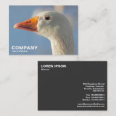 傲慢な白いガチョウ 名刺 (正面/裏面)