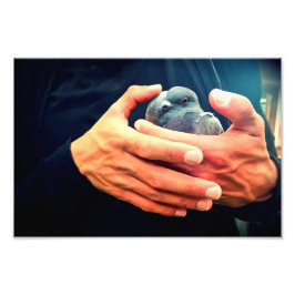 傷ついた鳥 フォトプリント           