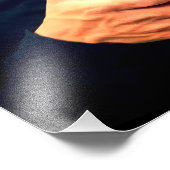 傷ついた鳥 フォトプリント            (角)