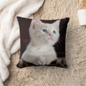 傷つきやすい白い子猫 クッション (ブランケット)